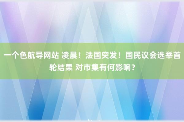 一个色航导网站 凌晨！法国突发！国民议会选举首轮结果 对市集有何影响？