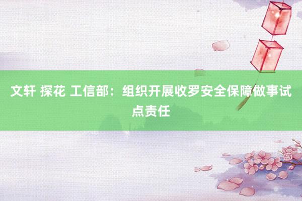 文轩 探花 工信部：组织开展收罗安全保障做事试点责任