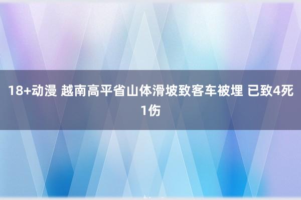 18+动漫 越南高平省山体滑坡致客车被埋 已致4死1伤