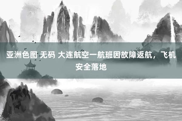 亚洲色图 无码 大连航空一航班因故障返航，飞机安全落地