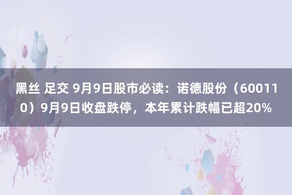 黑丝 足交 9月9日股市必读：诺德股份（600110）9月9日收盘跌停，本年累计跌幅已超20%