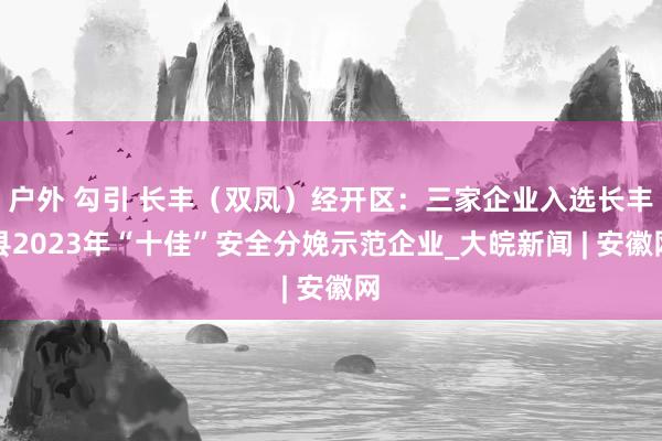 户外 勾引 长丰（双凤）经开区：三家企业入选长丰县2023年“十佳”安全分娩示范企业_大皖新闻 | 安徽网