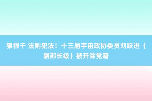 狠狠干 法则犯法！十三届宇宙政协委员刘跃进（副部长级）被开除党籍