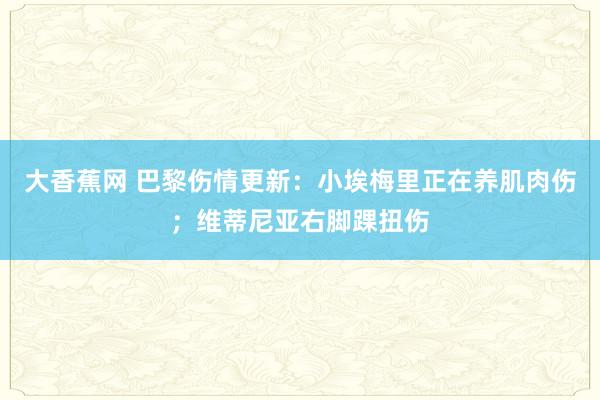 大香蕉网 巴黎伤情更新：小埃梅里正在养肌肉伤；维蒂尼亚右脚踝扭伤