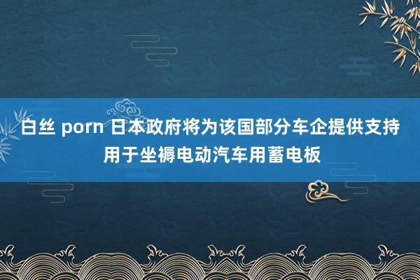 白丝 porn 日本政府将为该国部分车企提供支持 用于坐褥电动汽车用蓄电板