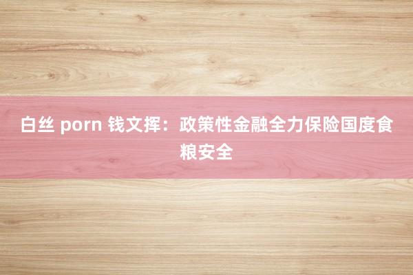 白丝 porn 钱文挥：政策性金融全力保险国度食粮安全