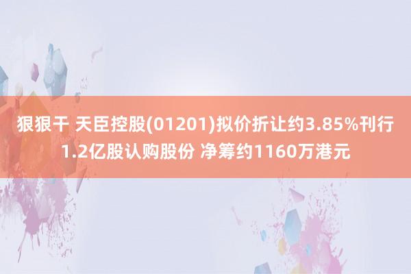 狠狠干 天臣控股(01201)拟价折让约3.85%刊行1.2亿股认购股份 净筹约1160万港元