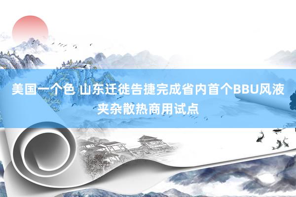 美国一个色 山东迁徙告捷完成省内首个BBU风液夹杂散热商用试点