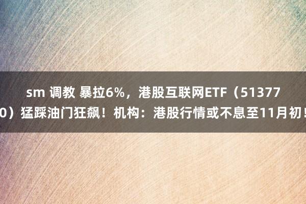 sm 调教 暴拉6%，港股互联网ETF（513770）猛踩油门狂飙！机构：港股行情或不息至11月初！