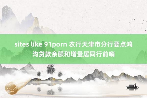 sites like 91porn 农行天津市分行要点鸿沟贷款余额和增量居同行前哨