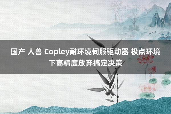 国产 人兽 Copley耐环境伺服驱动器 极点环境下高精度放弃搞定决策