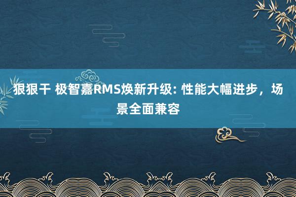 狠狠干 极智嘉RMS焕新升级: 性能大幅进步，场景全面兼容