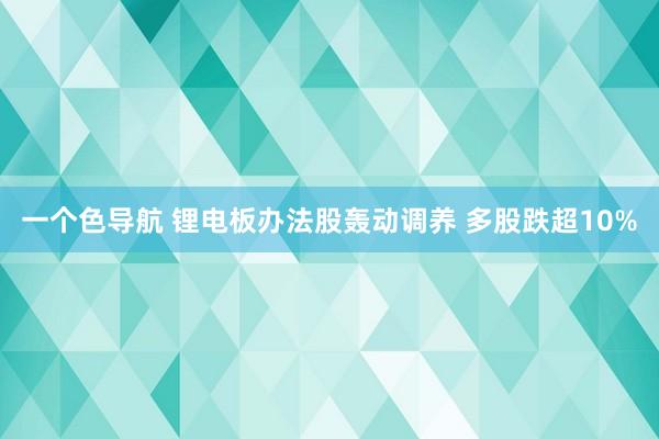 一个色导航 锂电板办法股轰动调养 多股跌超10%