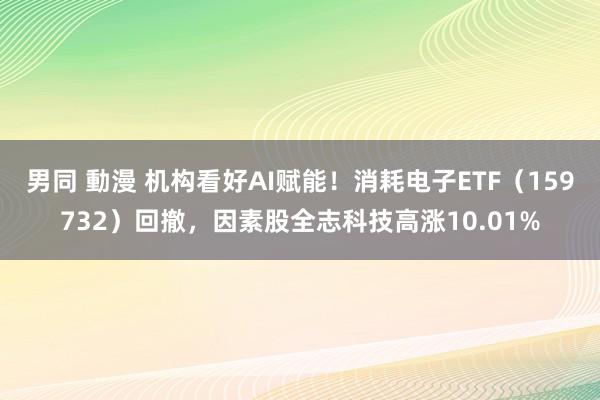 男同 動漫 机构看好AI赋能！消耗电子ETF（159732）回撤，因素股全志科技高涨10.01%