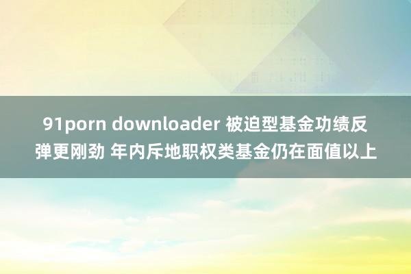 91porn downloader 被迫型基金功绩反弹更刚劲 年内斥地职权类基金仍在面值以上