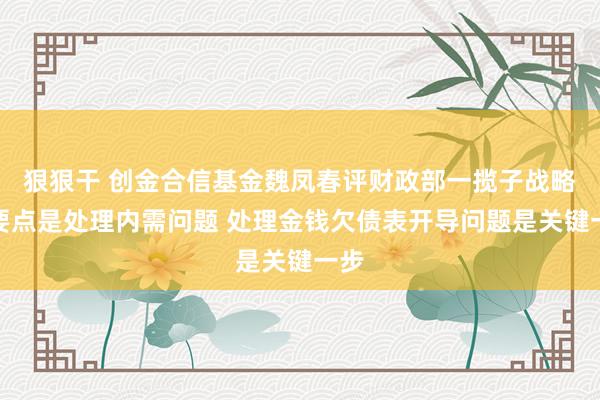 狠狠干 创金合信基金魏凤春评财政部一揽子战略：要点是处理内需问题 处理金钱欠债表开导问题是关键一步