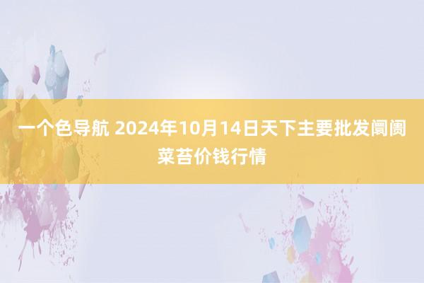 一个色导航 2024年10月14日天下主要批发阛阓菜苔价钱行情