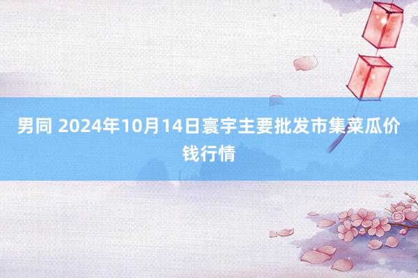 男同 2024年10月14日寰宇主要批发市集菜瓜价钱行情