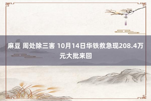 麻豆 周处除三害 10月14日华铁救急现208.4万元大批来回