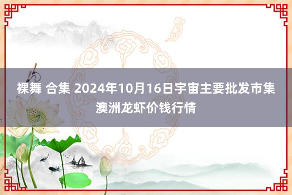 裸舞 合集 2024年10月16日宇宙主要批发市集澳洲龙虾价钱行情