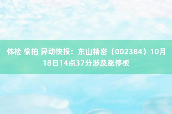 体检 偷拍 异动快报：东山精密（002384）10月18日14点37分涉及涨停板