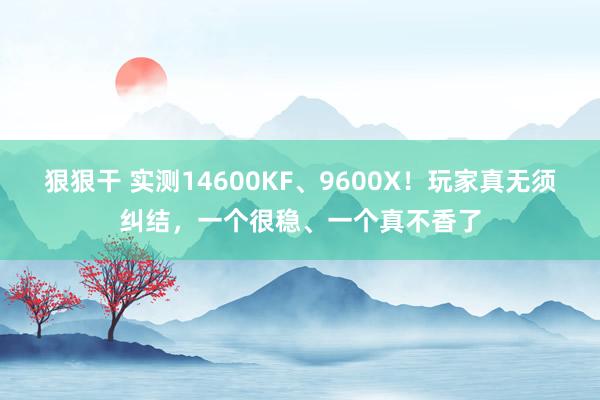 狠狠干 实测14600KF、9600X！玩家真无须纠结，一个很稳、一个真不香了