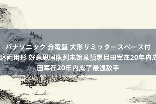 パナソニック 分電盤 大形リミッタースペース付 露出・半埋込両用形 好意思国队列未始意预想目田军在20年内成了最强敌手