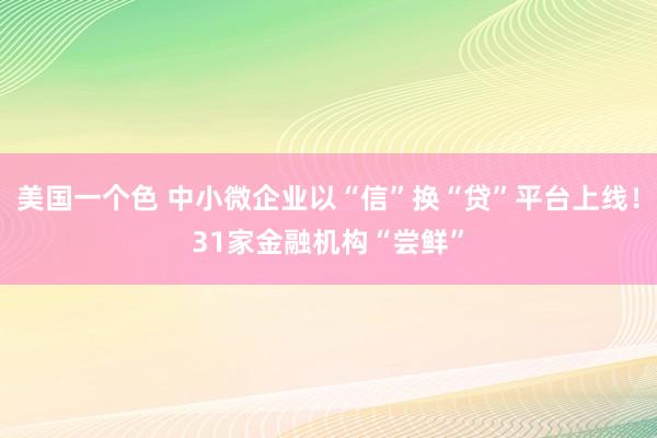 美国一个色 中小微企业以“信”换“贷”平台上线！31家金融机构“尝鲜”