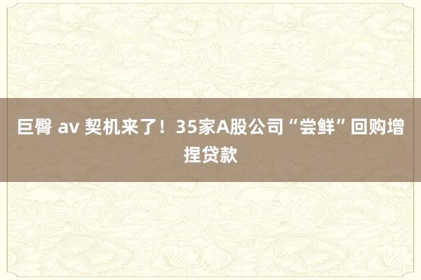 巨臀 av 契机来了！35家A股公司“尝鲜”回购增捏贷款