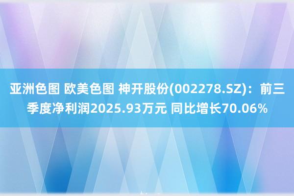 亚洲色图 欧美色图 神开股份(002278.SZ)：前三季度净利润2025.93万元 同比增长70.06%