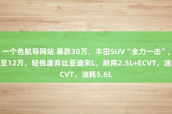 一个色航导网站 暴跌30万，丰田SUV“全力一击”，一起降至12万，轻佻废弃比亚迪宋L，耐用2.5L+ECVT，油耗5.6L