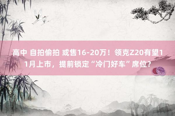 高中 自拍偷拍 或售16-20万！领克Z20有望11月上市，提前锁定“冷门好车”席位？