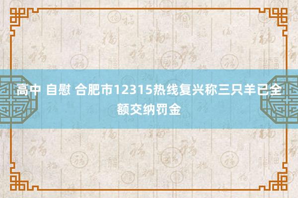 高中 自慰 合肥市12315热线复兴称三只羊已全额交纳罚金