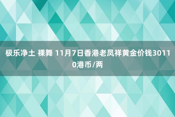 极乐净土 裸舞 11月7日香港老凤祥黄金价钱30110港币/两