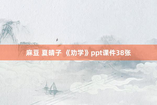 麻豆 夏晴子 《劝学》ppt课件38张