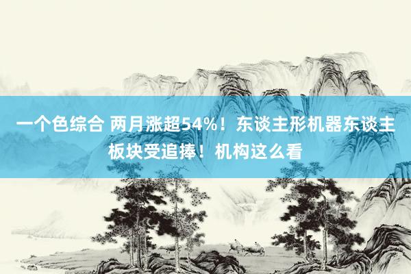 一个色综合 两月涨超54%！东谈主形机器东谈主板块受追捧！机构这么看