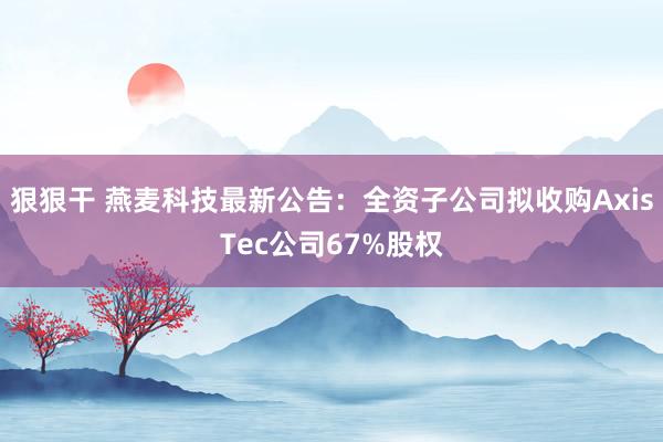 狠狠干 燕麦科技最新公告：全资子公司拟收购AxisTec公司67%股权