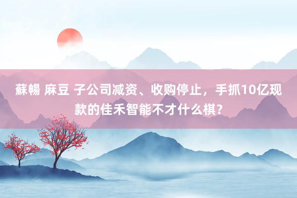 蘇暢 麻豆 子公司减资、收购停止，手抓10亿现款的佳禾智能不才什么棋？