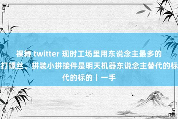 裸舞 twitter 现时工场里用东说念主最多的布线缆、打螺丝、拼装小拼接件是明天机器东说念主替代的标的丨一手