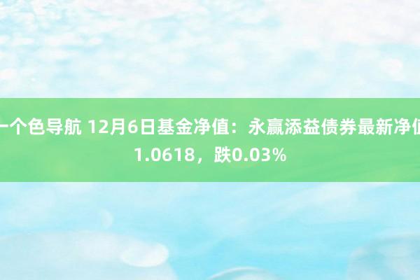 一个色导航 12月6日基金净值：永赢添益债券最新净值1.0618，跌0.03%