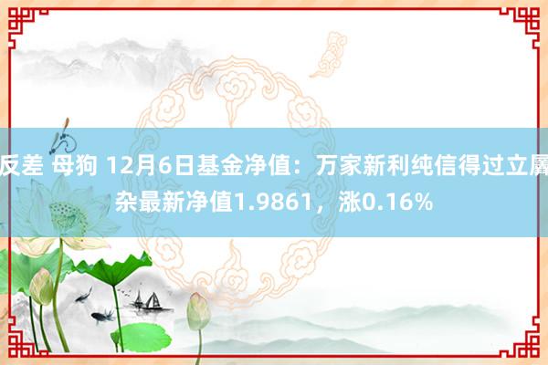 反差 母狗 12月6日基金净值：万家新利纯信得过立羼杂最新净值1.9861，涨0.16%