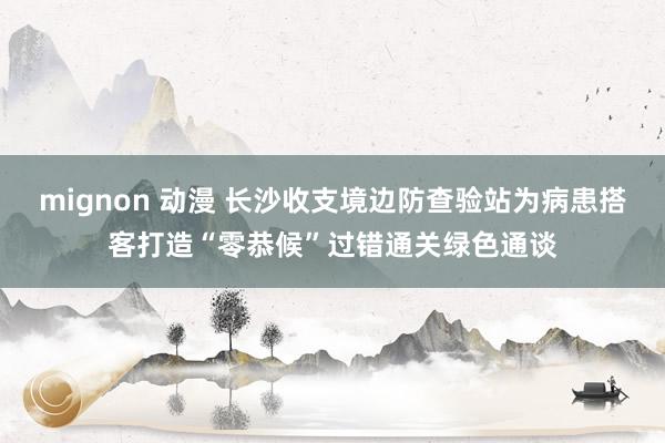 mignon 动漫 长沙收支境边防查验站为病患搭客打造“零恭候”过错通关绿色通谈