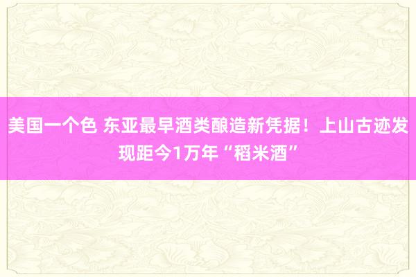 美国一个色 东亚最早酒类酿造新凭据！上山古迹发现距今1万年“稻米酒”