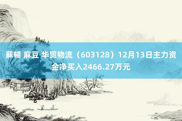 蘇暢 麻豆 华贸物流（603128）12月13日主力资金净买入2466.27万元