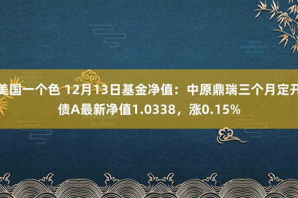 美国一个色 12月13日基金净值：中原鼎瑞三个月定开债A最新净值1.0338，涨0.15%