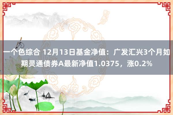 一个色综合 12月13日基金净值：广发汇兴3个月如期灵通债券A最新净值1.0375，涨0.2%