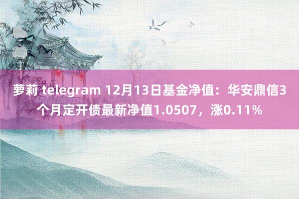 萝莉 telegram 12月13日基金净值：华安鼎信3个月定开债最新净值1.0507，涨0.11%