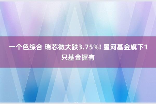 一个色综合 瑞芯微大跌3.75%! 星河基金旗下1只基金握有