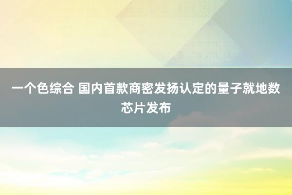 一个色综合 国内首款商密发扬认定的量子就地数芯片发布