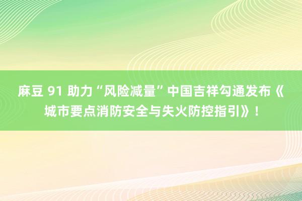 麻豆 91 助力“风险减量”中国吉祥勾通发布《城市要点消防安全与失火防控指引》！